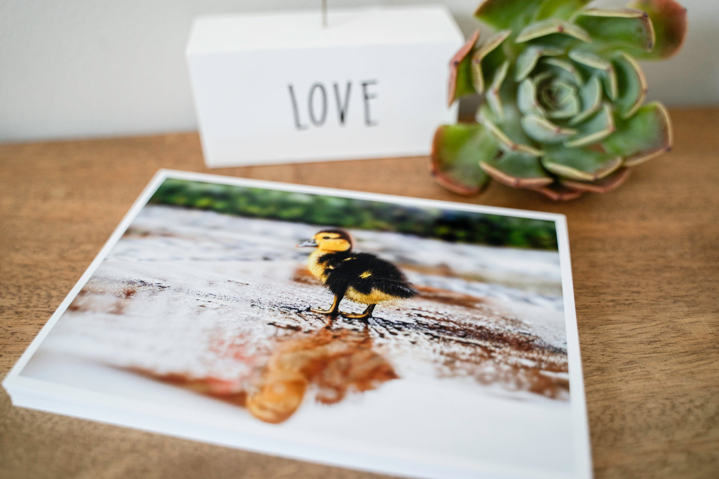 Quality Photo Prints